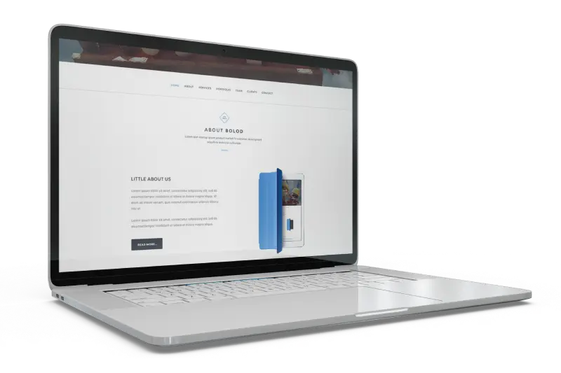 Law Firm Search Engine Optimization